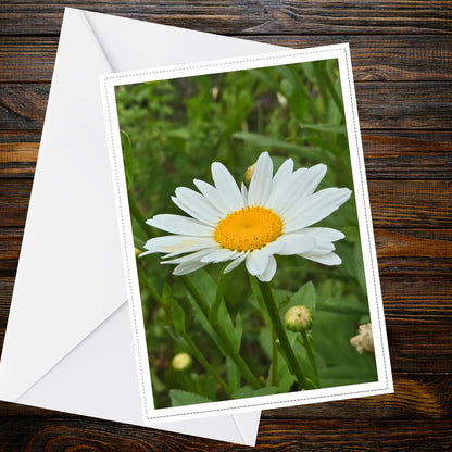Pure White Daisy Blossom Card | Floral Greeting, Nature Lover Gift, Handmade UK, Botanical Summer Flower, Friendship Card, Blank Inside