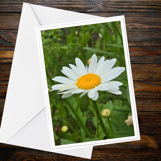 Pure White Daisy Blossom Card | Floral Greeting, Nature Lover Gift, Handmade UK, Botanical Summer Flower, Friendship Card, Blank Inside