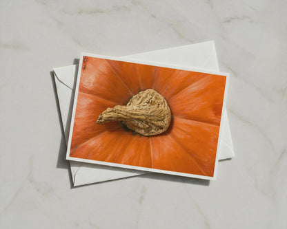 Pumpkin Stem Close Up Card, Orange Autumn Harvest, Macro Photography Greeting Card