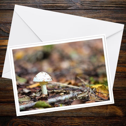 Destroying Angel Fungi Greeting Card | Woodland Mushroom Art | Nature-Inspired Stationery | Unique Gift for Mushroom Lovers