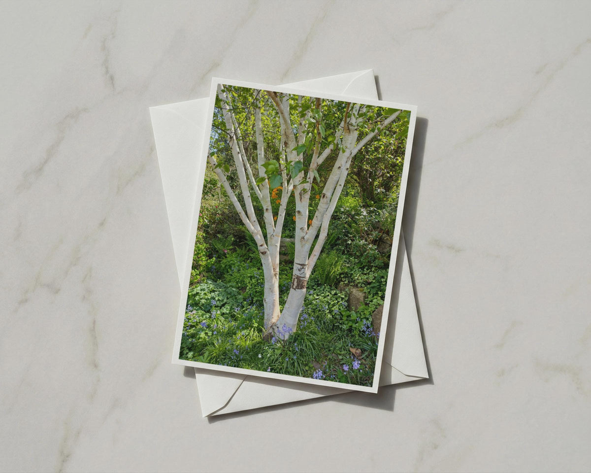 Silver Birch Tree Card, Bluebell Garden A6 Greeting Card, Nature Woodland Botanical