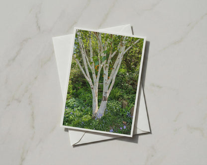 Silver Birch Tree Card, Bluebell Garden A6 Greeting Card, Nature Woodland Botanical