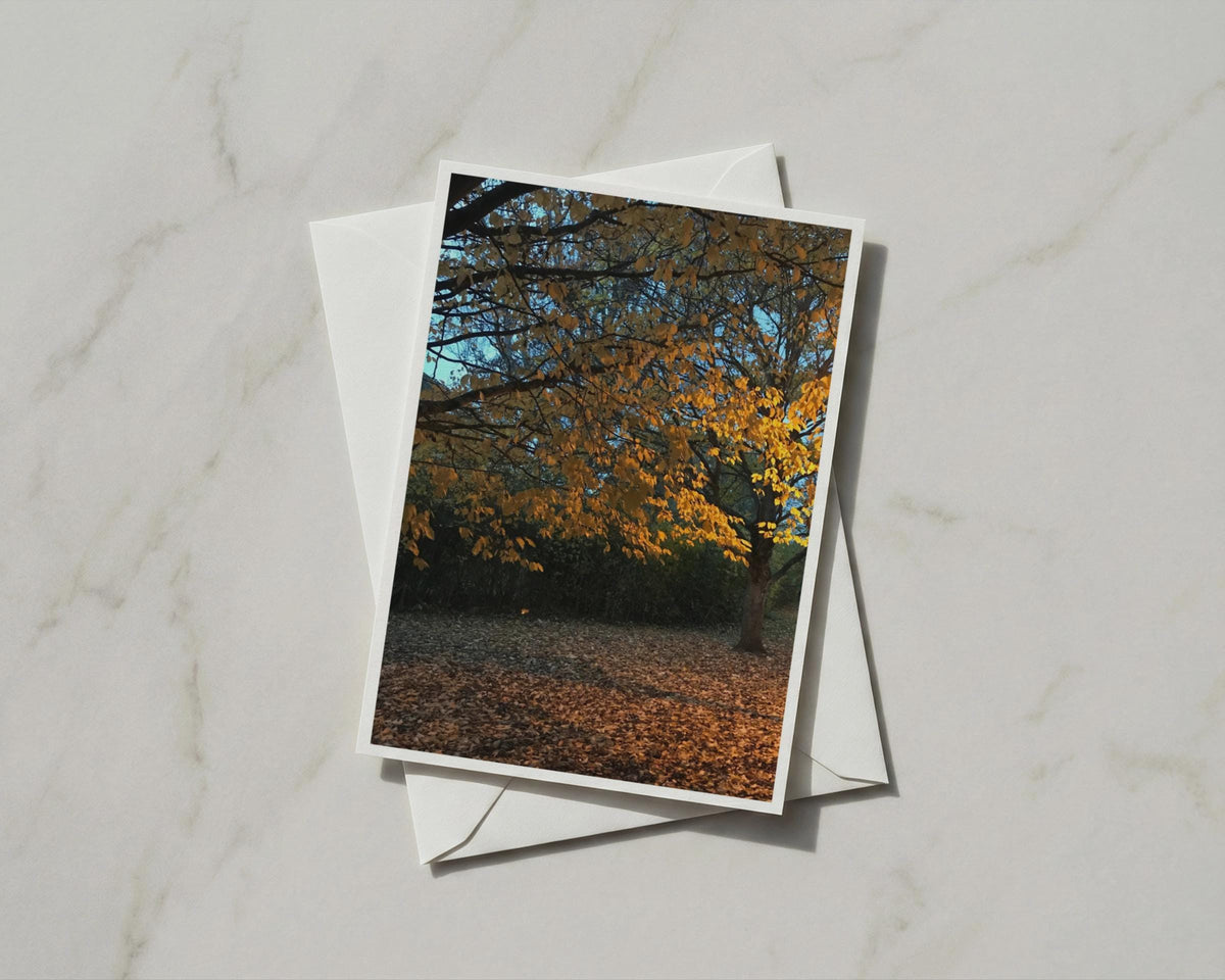 Autumn Tree Greeting Card, Golden Leaves Fall Nature Card, Woodland Seasonal A6 Card