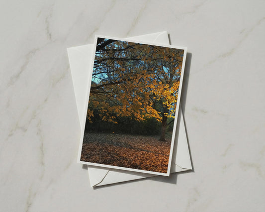 Autumn Tree Greeting Card, Golden Leaves Fall Nature Card, Woodland Seasonal A6 Card