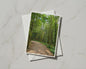 Forest Path Greeting Card, Woodland Trees Nature Card, Green Summer Walk A6 Card