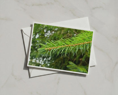 Pine Branch Close Up Card, Evergreen Nature Photography, Forest Green Greeting Card