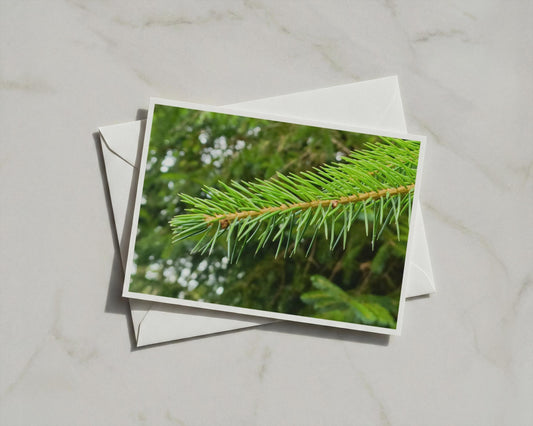 Pine Branch Close Up Card, Evergreen Nature Photography, Forest Green Greeting Card