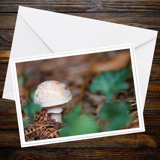 Fly agaric Fungi Greeting Card | Botanical Mushroom Art, Woodland Wildlife, Nature Lover Gift, Eco Friendly Card, Fairy Tale Inspired
