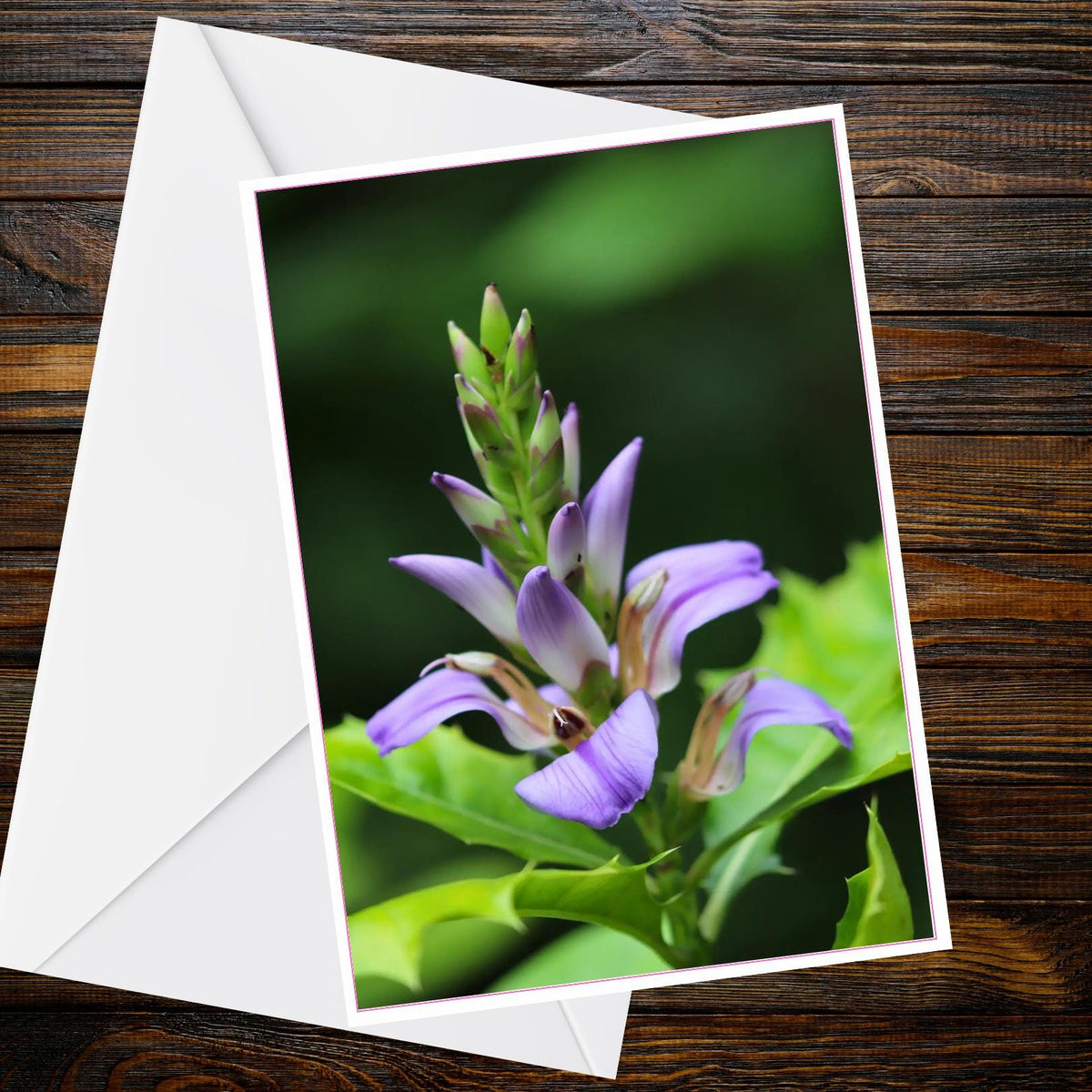 Purple Tropical Flower A6 Greetings Card | Nature Photography — Inspired by Eden Collection