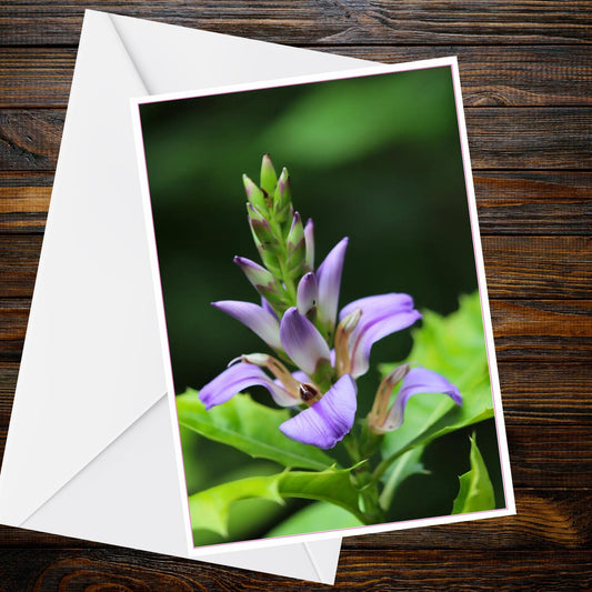 Purple Tropical Flower A6 Greetings Card | Nature Photography — Inspired by Eden Collection