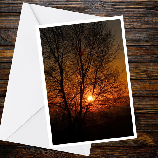 Woodbury Common Sunrise Greetings Card | Devon Dawn Card | Blank Nature Card