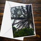 Eden Project Dome Through Palm Fronds A6 Greetings Card - Inspired by Eden Collection
