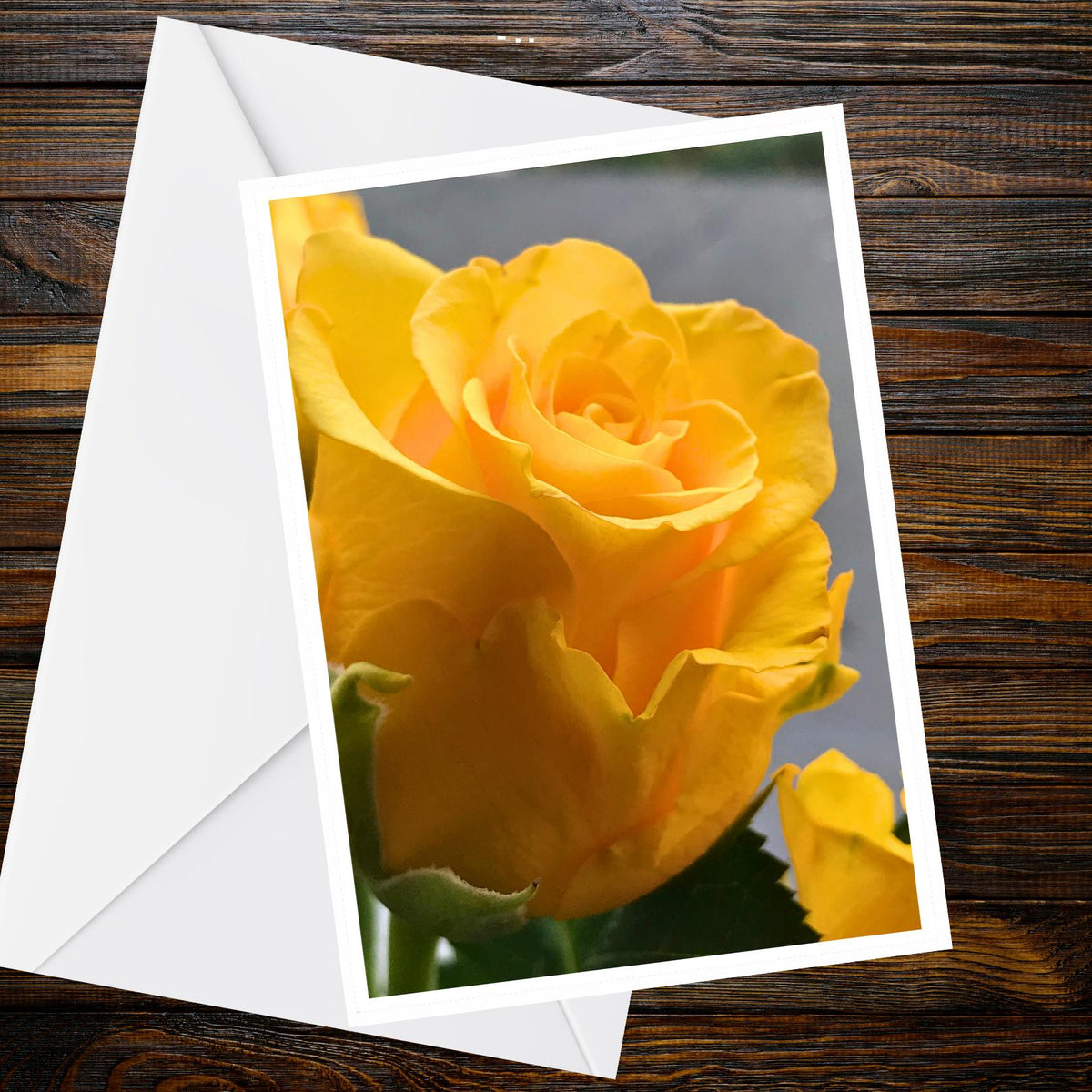 Yellow Rose Bud Photo Card - A6 250gsm Matt, Blank Inside | Summer Flower Collection