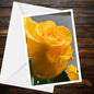 Yellow Rose Bud Photo Card - A6 250gsm Matt, Blank Inside | Summer Flower Collection
