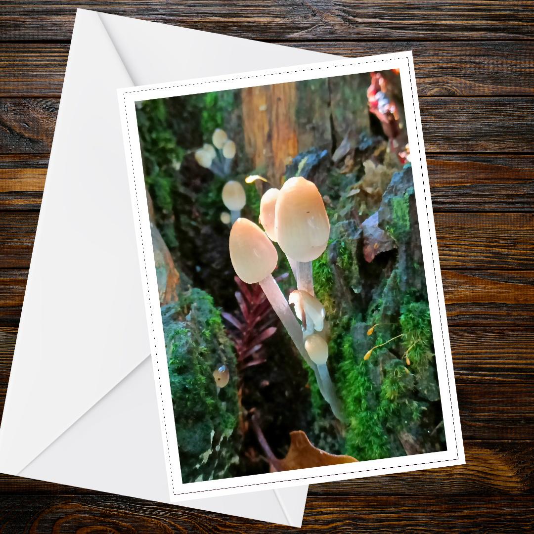 Mica Cap Fungi Greeting Card | Woodland Nature Card | Mushroom Botanical Illustration | FSC Certified All Occasion Card