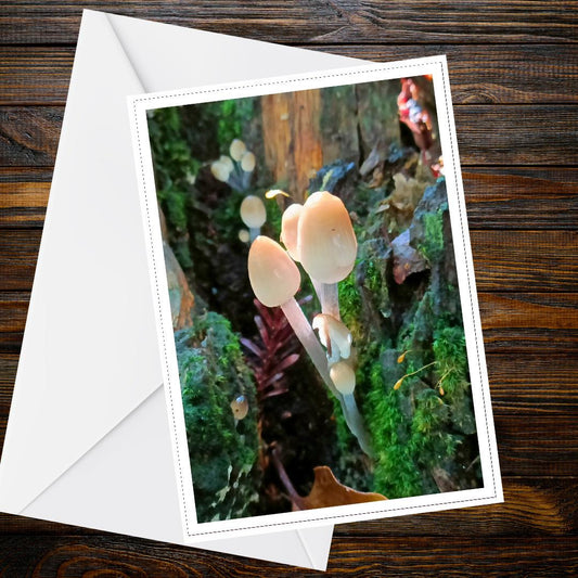 Mica Cap Fungi Greeting Card | Woodland Nature Card | Mushroom Botanical Illustration | FSC Certified All Occasion Card