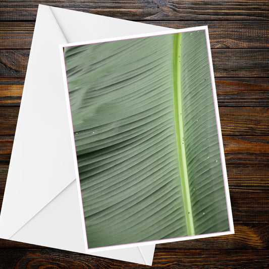 Abstract Tropical Banana Leaf Underside A6 Greetings Card - Inspired by Eden Collection