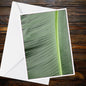 Abstract Tropical Banana Leaf Underside A6 Greetings Card - Inspired by Eden Collection