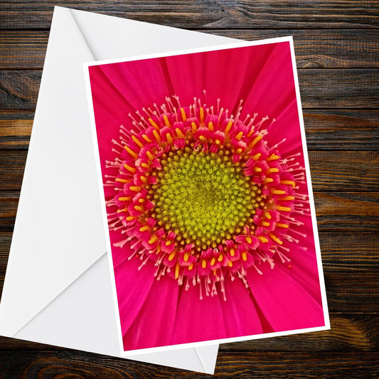 Magenta Cosmos Flower A6 Greetings Card - Floral Macro Photo, Blank Inside, Summer Flower Collection