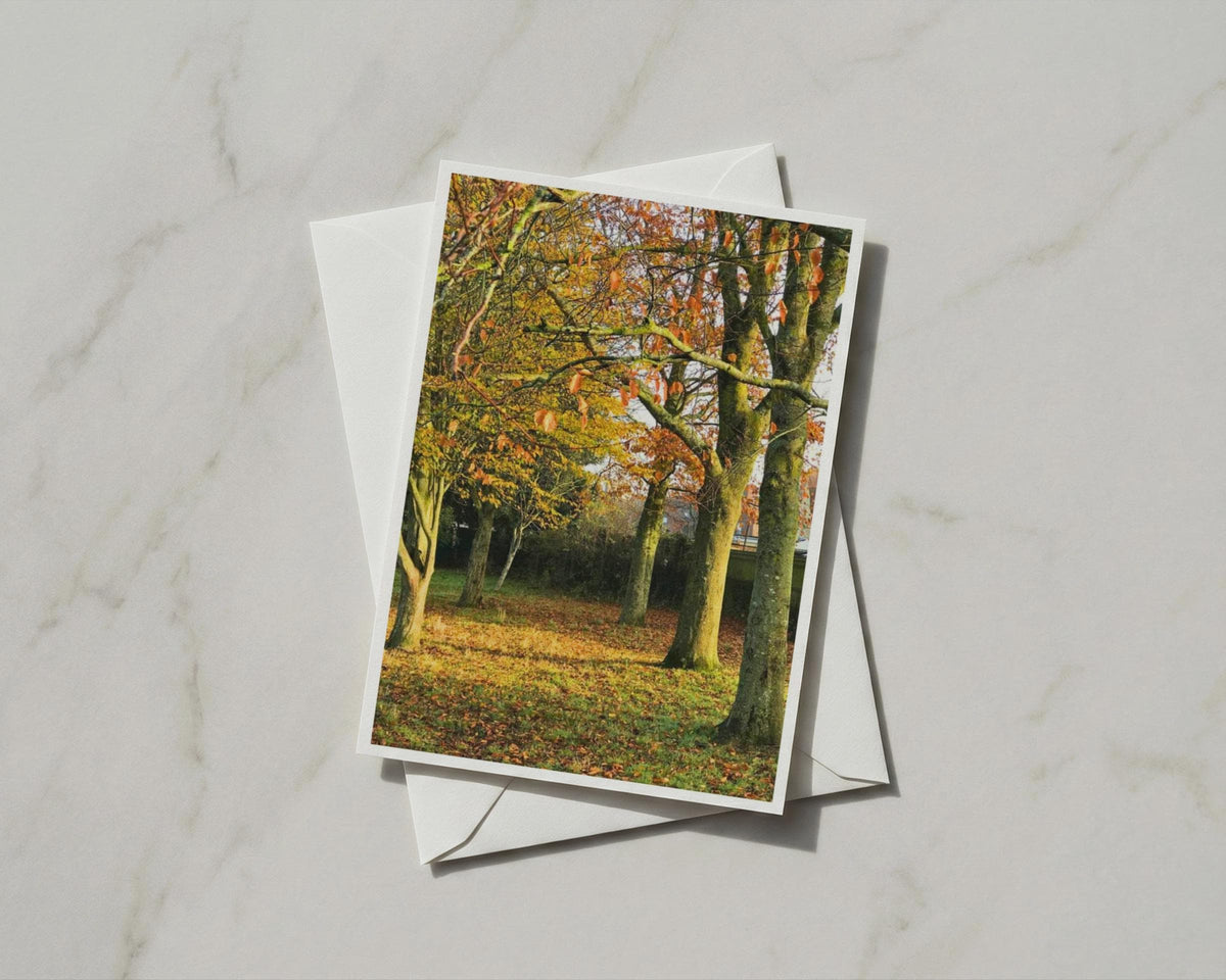 Autumn Trees Greeting Card, Fall Foliage Nature Card, Woodland Orange Leaves A6 Card