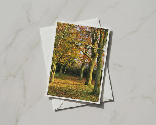 Autumn Trees Greeting Card, Fall Foliage Nature Card, Woodland Orange Leaves A6 Card