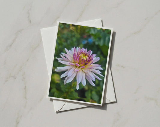 Pink Dahlia Flower Card, Garden Floral Greeting Card, Blank A6 Card with Envelope