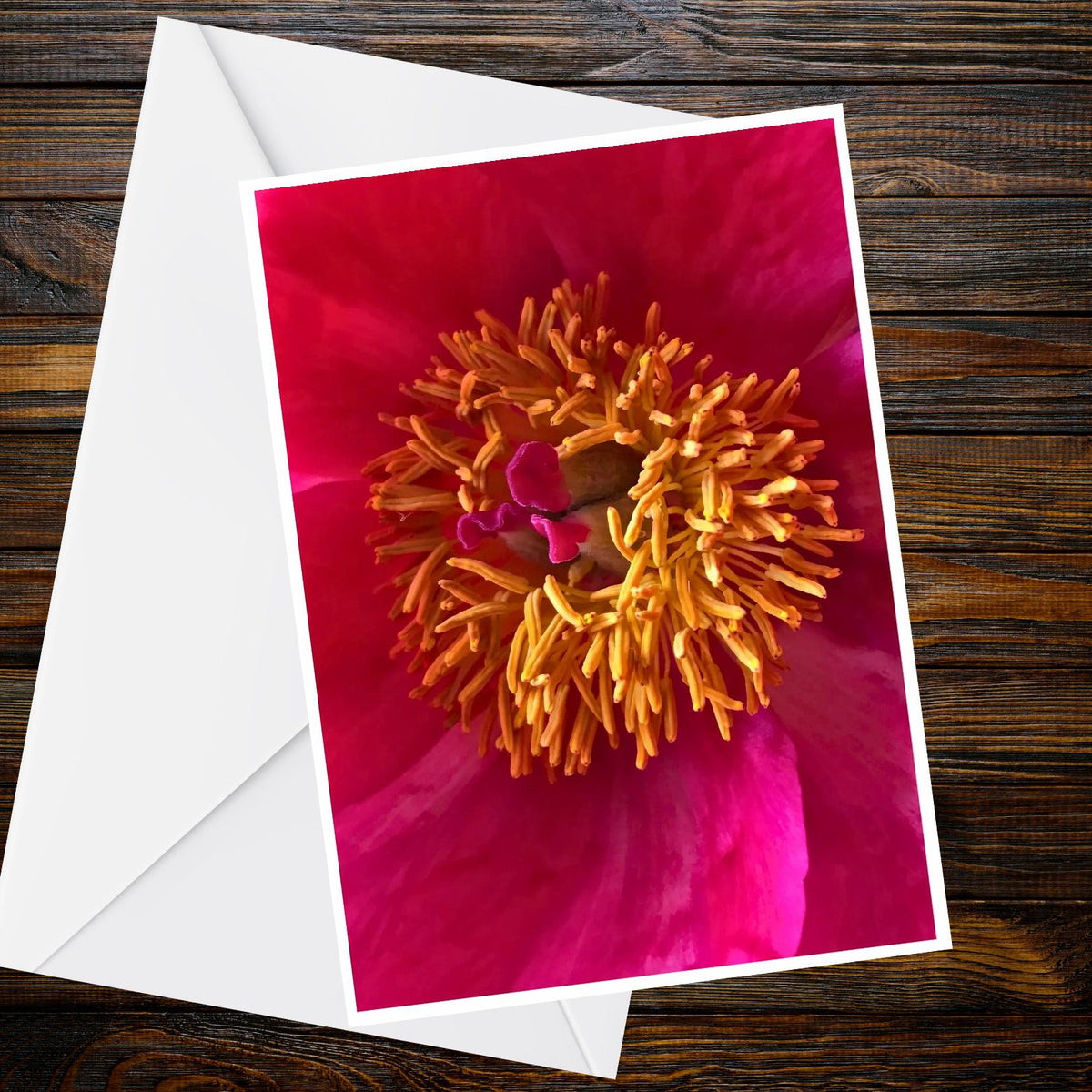 Crimson Magenta Peony Macro Photo Card – Botanical Floral Greetings (A6)