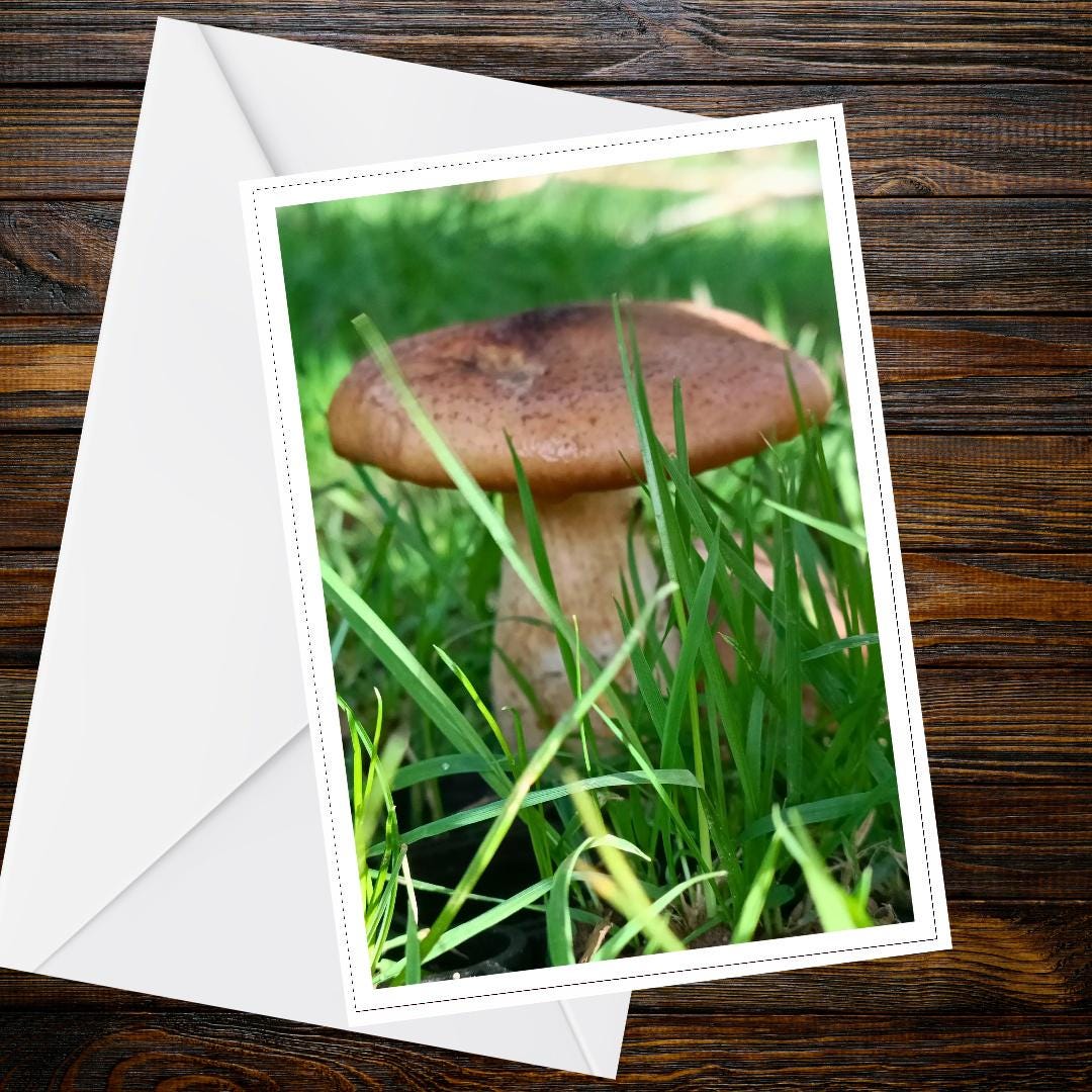 King Bolete Fungi Greeting Card | Mushroom Botanical Nature Card | Woodland and Forest Illustration | FSC Certified All Occasion Card