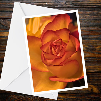 Macro Peach Rose Photo Greeting Card – A6 Blank Note Card, Summer Flower Collection