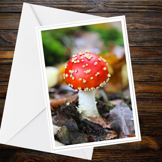 Fly Agaric Fungi Greeting Card, Woodland Nature Card, Mushroom Botanical Art, Fairy Tale Forest Card, FSC Certified All Occasion Card