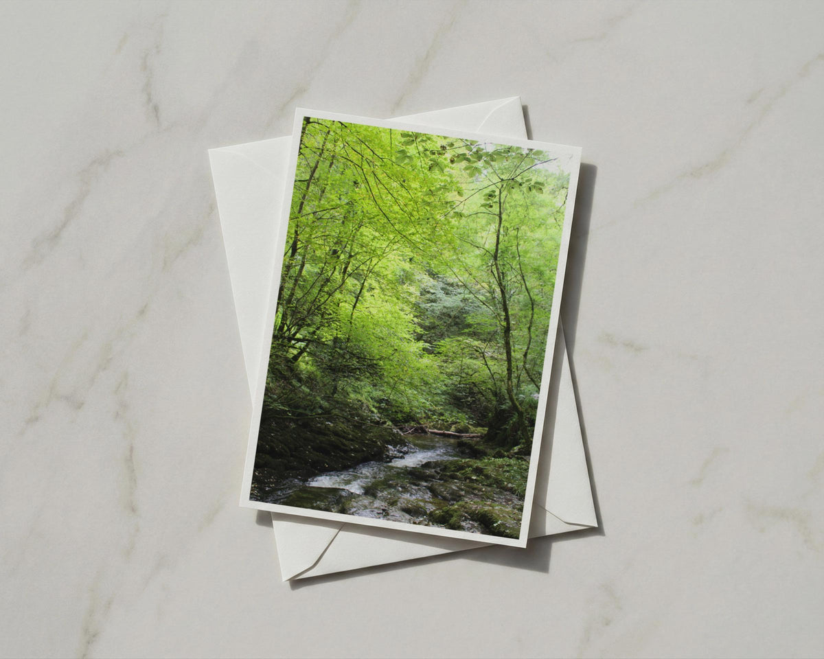 Forest Stream Greeting Card, Woodland River Nature Card, Lush Green Trees A6 Card
