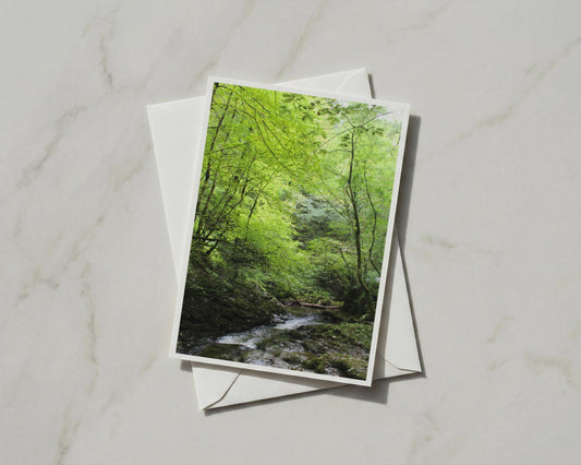 Forest Stream Greeting Card, Woodland River Nature Card, Lush Green Trees A6 Card