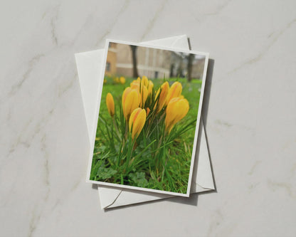 Yellow Crocus Card, Spring Flowers Greeting Card, Garden Floral A6 Card with Envelope