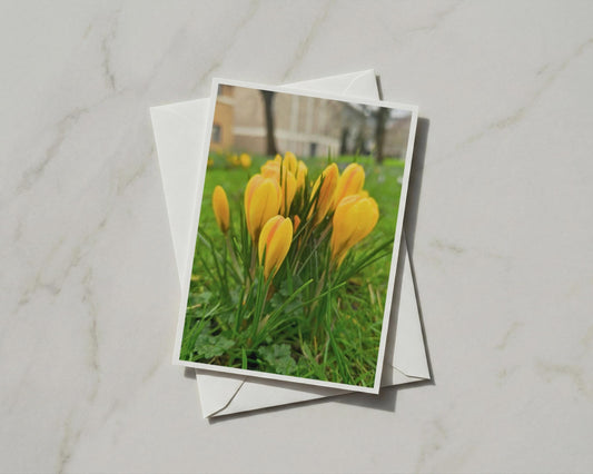 Yellow Crocus Card, Spring Flowers Greeting Card, Garden Floral A6 Card with Envelope