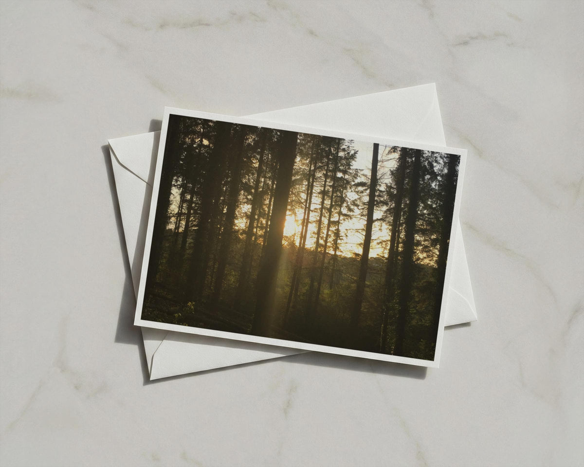 Forest Sunrise Poster, Woodland Sunlight Through Trees, Framed-Print Nature Wall Art, Golden Dawn Landscape, Moody Forest Photography Print