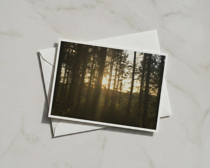 Forest Sunrise Poster, Woodland Sunlight Through Trees, Framed-Print Nature Wall Art, Golden Dawn Landscape, Moody Forest Photography Print
