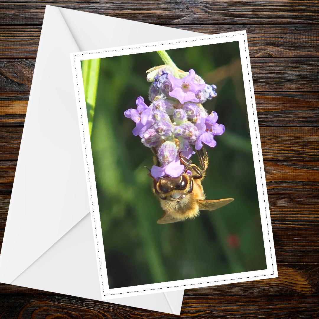 Honeybee Clinging to Lavender Flower Greeting Card | Nature Pollinator Art, Handmade UK, Resilience & Encouragement Card, FSC Certified