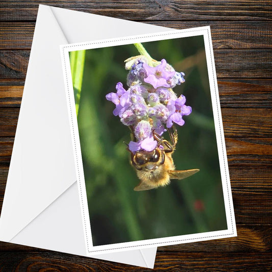 Honeybee Clinging to Lavender Flower Greeting Card | Nature Pollinator Art, Handmade UK, Resilience & Encouragement Card, FSC Certified
