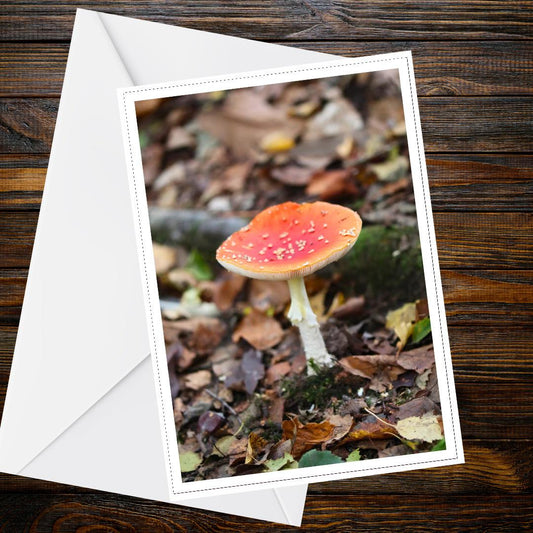 Fly Agaric Fungi Greeting Card, Mushroom Nature Card, Woodland Botanical Illustration, Handmade All Occasion Card, Fairy Tale Inspired