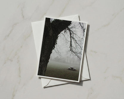 Misty Park Trees Greeting Card, Moody Foggy Nature Card, Bare Branches, Autumn