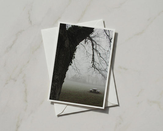 Misty Park Trees Greeting Card, Moody Foggy Nature Card, Bare Branches, Autumn