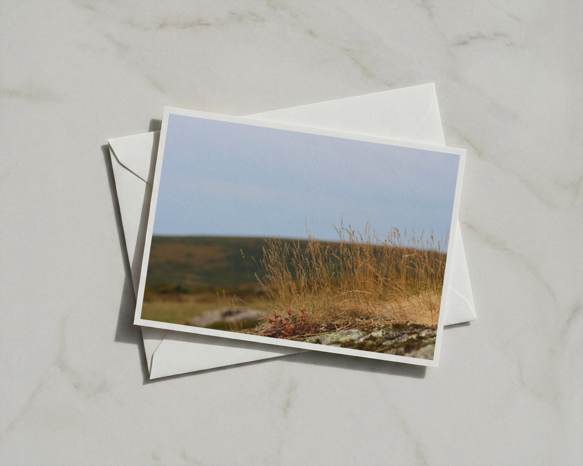 Moorland Grass Card, Wild Grasses on Rocky Moor, Nature Photography, Blank A6 Card