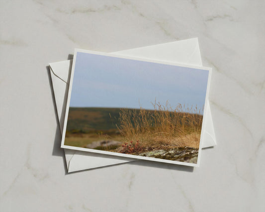 Moorland Grass Card, Wild Grasses on Rocky Moor, Nature Photography, Blank A6 Card