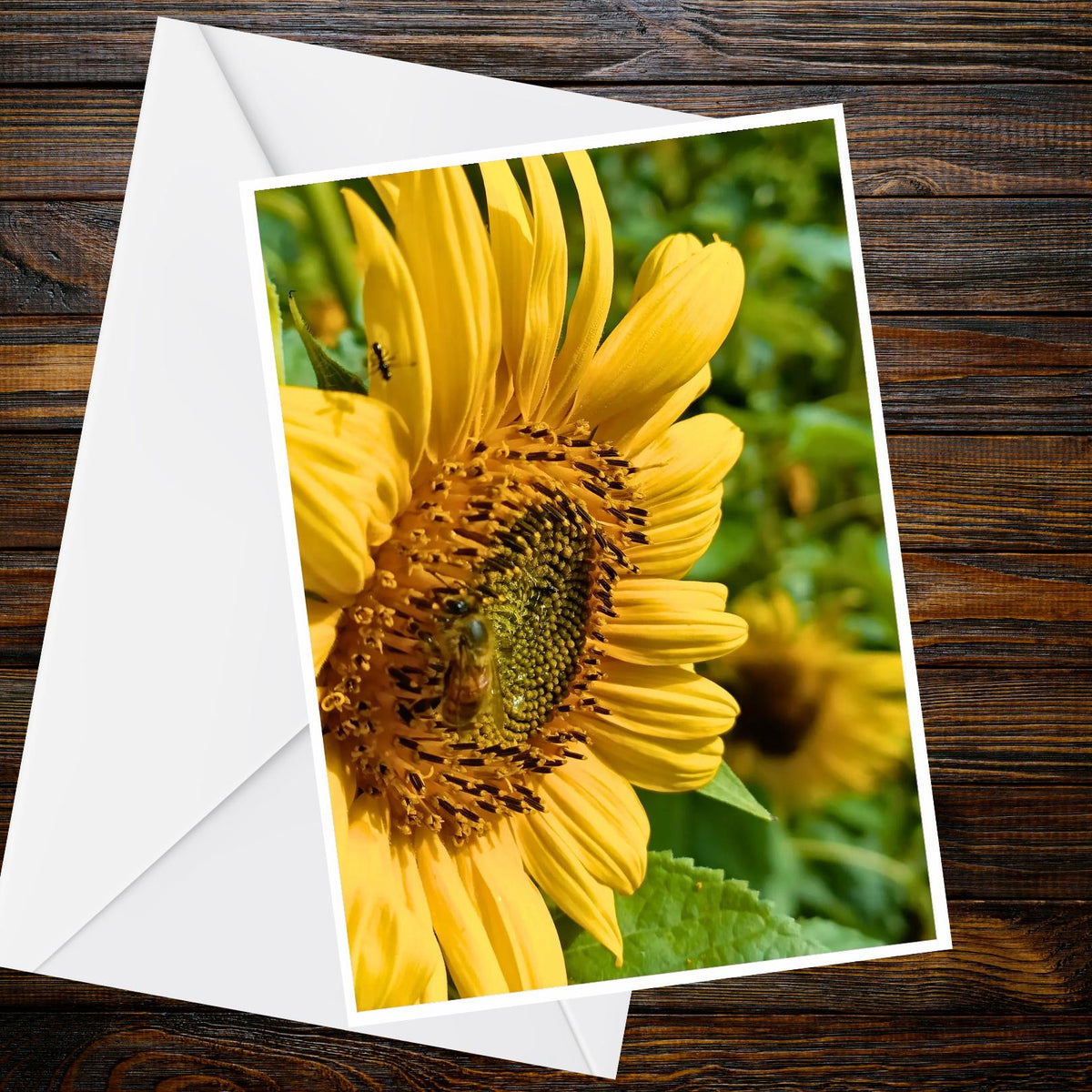Sunflower Bee Photo Greeting Card – A6 Blank Summer Flower Card (UK Handmade)