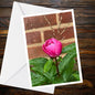 Pink Peony Bud Greeting Card – Rain Dappled Floral Photo (A6)