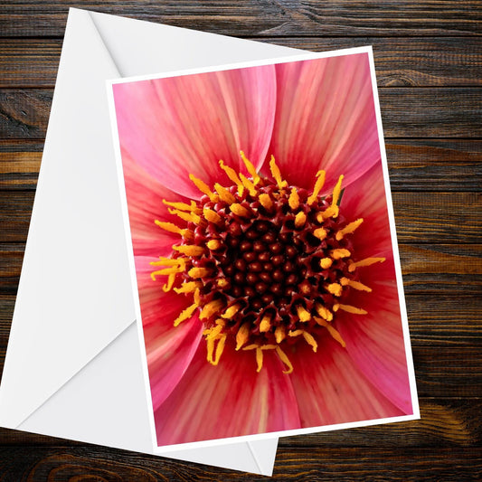 Pink-red Cosmos A6 Greetings Card – Macro Flower Photo | Blank Inside | 250gsm Matt | Handmade UK