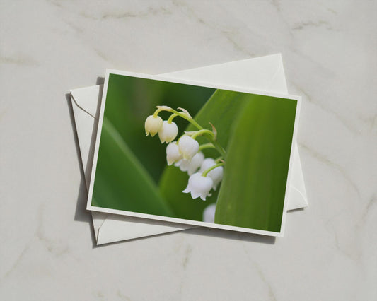 Lily of the Valley Card, White Spring Flower Greeting Card, Botanical Nature Card