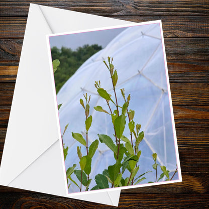 Eden Project A6 Greetings Card – Fresh Green Stems Photo | Inspired by Eden Collection