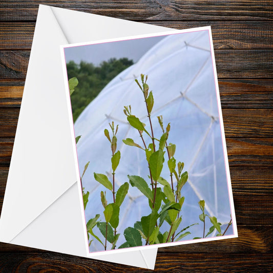 Eden Project A6 Greetings Card – Fresh Green Stems Photo | Inspired by Eden Collection