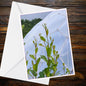 Eden Project A6 Greetings Card – Fresh Green Stems Photo | Inspired by Eden Collection